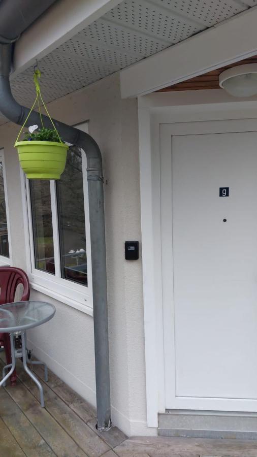 Ferienwohnung Am Stadtwald Freiberg Ngoại thất bức ảnh
