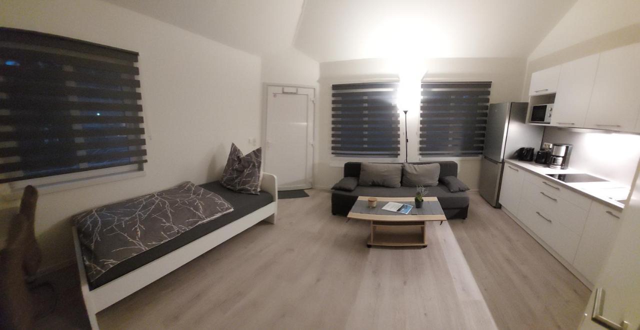 Ferienwohnung Am Stadtwald Freiberg Ngoại thất bức ảnh